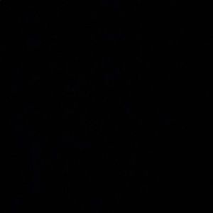 Meet your Posher, Faviola